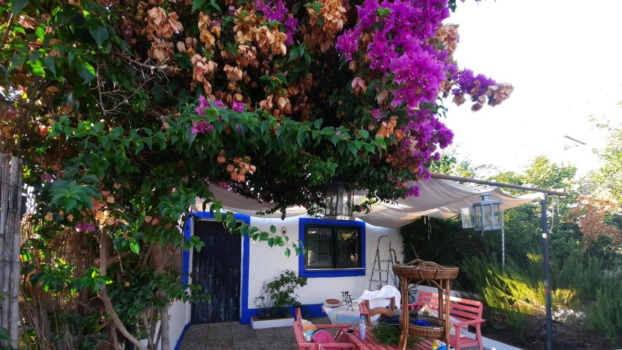 Rosal de la Frontera Casa Con Sierra Y Con Portugalヴィラ エクステリア 写真
